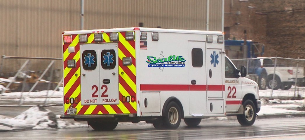 aquarium maintenance services for emergency